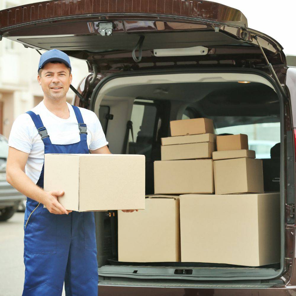 avenue removal services (3)